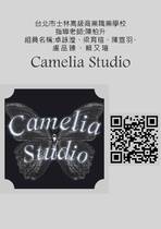309第2組camelia studio期末總報告書